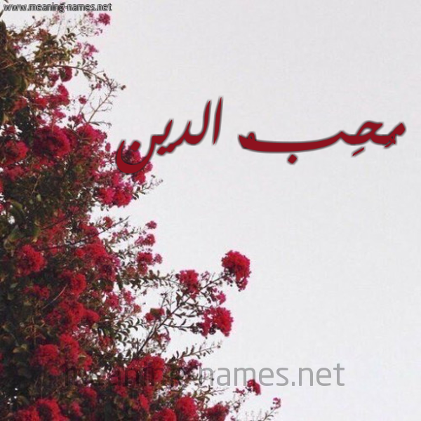 شكل 18 صوره الورد الأحمر للإسم بخط رقعة صورة اسم مُحِبُّ الدين MOHEBO-ALDIN